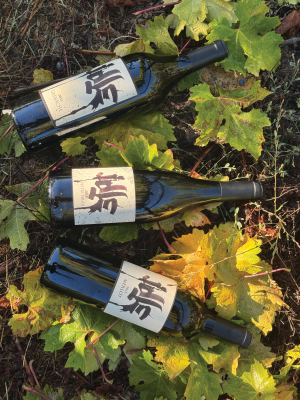 Anniversary Collection